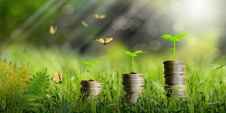 Global green economy tipped to grow 13.8%
